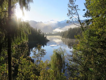 Scenic view of lake with trees in background