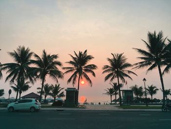 Palm trees by road against sky during sunset