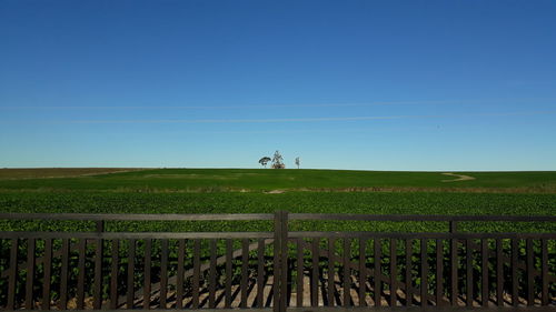 Scenic view of agricultural field against clear sky