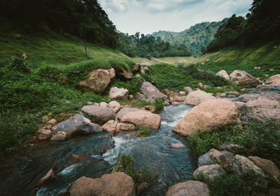 Scenic view of stream flowing through rocks