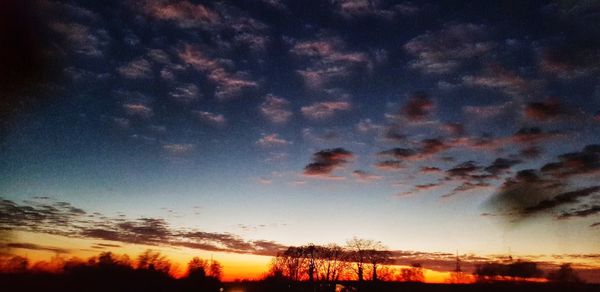 Silhouette trees against sky during sunset