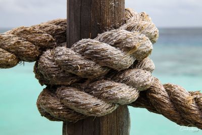 Close-up of rope tied on wooden post