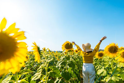 Low angle view of woman standing by sunflower against sky