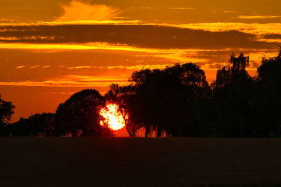 Silhouette trees against sky during sunset