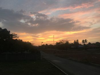 Trees against sky during sunset