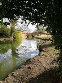 Scenic view of river in forest against sky