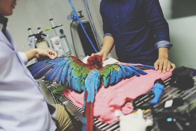 Veterinarians examining injured bird on table in hospital