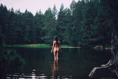 Woman standing by lake in forest