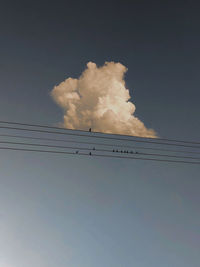 Low angle view of birds flying against sky