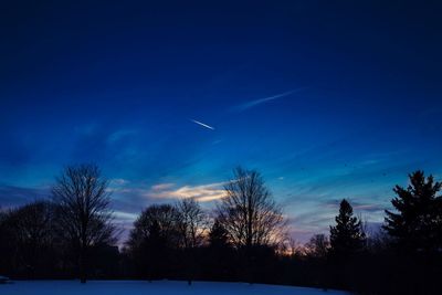 Silhouette trees against sky at night