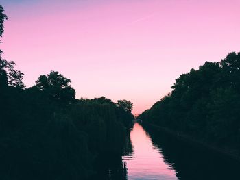 Reflection of trees in water