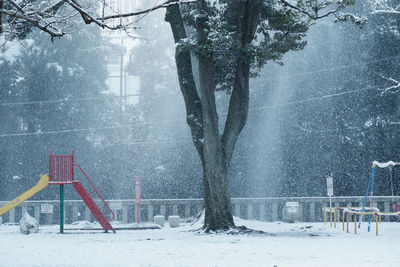 Snow falls in tokyo