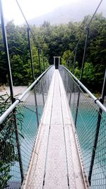 Footbridge in forest