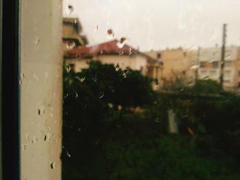 Raindrops on glass window