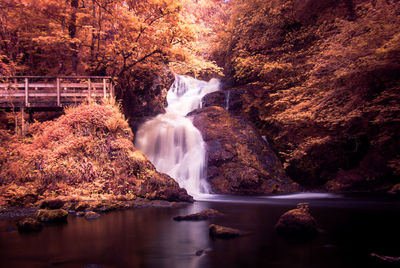 Scenic view of waterfall
