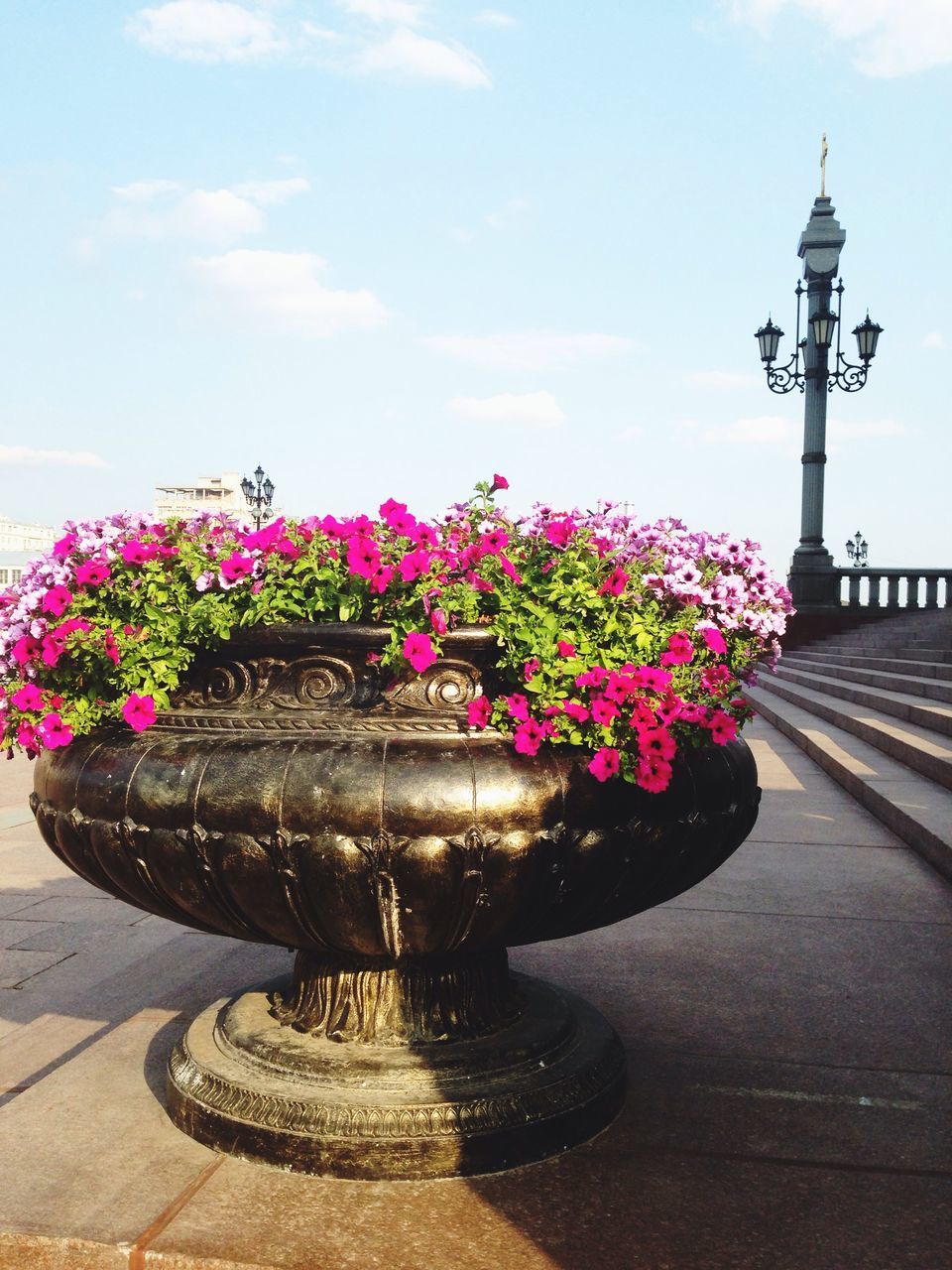 flower, freshness, fragility, pink color, sky, street light, growth, plant, lighting equipment, nature, built structure, beauty in nature, architecture, decoration, low angle view, in bloom, no people, petal, blooming, day