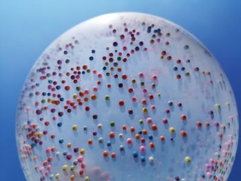 Close-up of multi colored candies against blue background