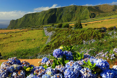 Scenic view of mountains against sky