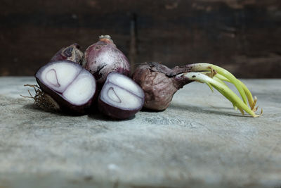 Close-up of onions on table