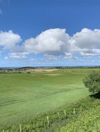 Scenic view of field against sky