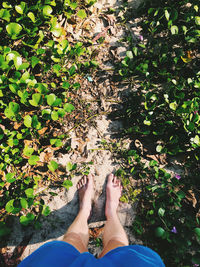 Low section of man standing on leaves