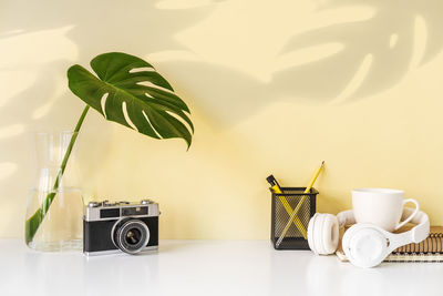Potted plant on table