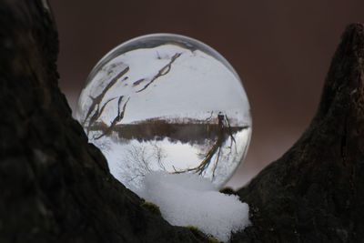 Reflection of trees on snow covered landscape