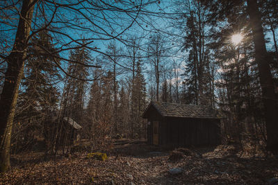 Bare trees in forest against sky