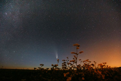 Scenic view of field against sky at night