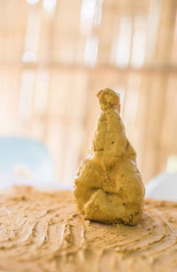 Close-up of lizard on table