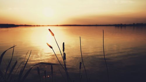 Scenic view of lake against romantic sky at sunset