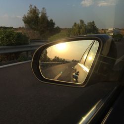 Reflection of trees on side-view mirror of car