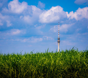 Plants growing on field against sky