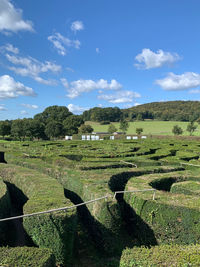 Scenic view of hedge maze against sky