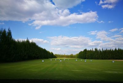 Scenic view of golf course against sky