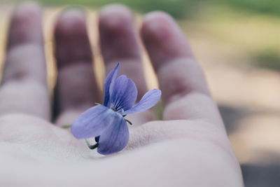 Close-up of hand holding flower