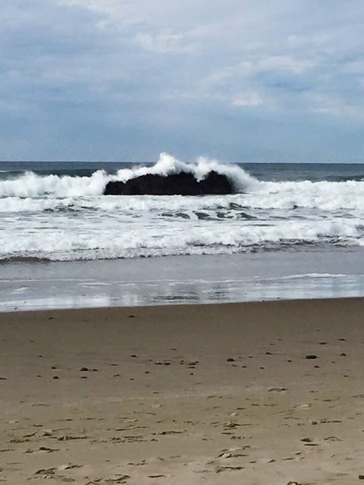 SCENIC VIEW OF BEACH