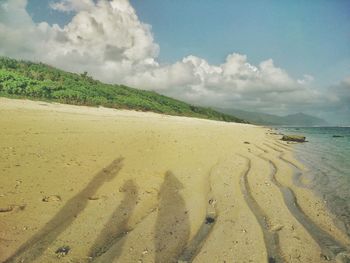 Scenic view of beach against sky