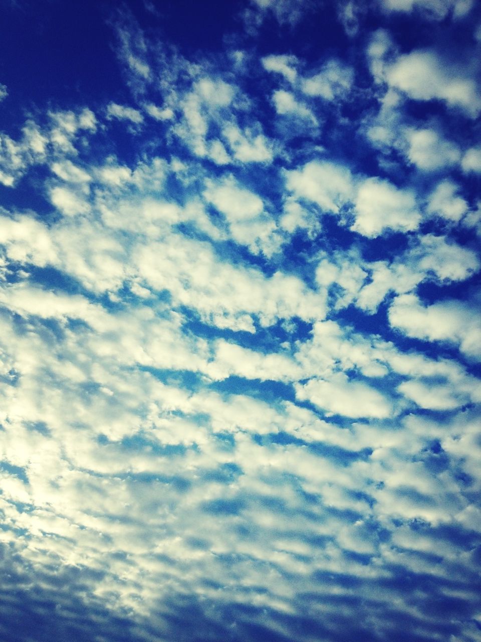 sky, cloud - sky, low angle view, sky only, beauty in nature, tranquility, scenics, cloudscape, nature, blue, backgrounds, tranquil scene, cloudy, full frame, cloud, idyllic, outdoors, majestic, no people, white color