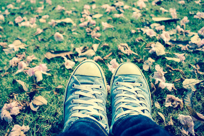 Low section of person standing on field