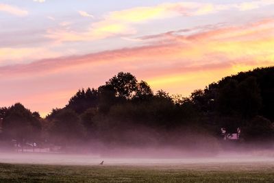 Silhouette trees on field against sky during sunset