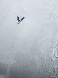 High angle view of person skiing on snow