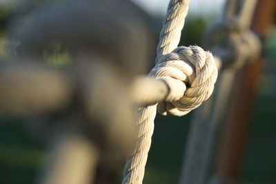 Close-up of rope