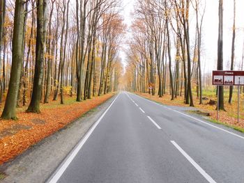 Empty road along trees in forest