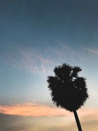 Low angle view of silhouette tree against sky at sunset