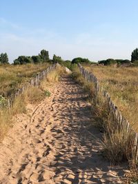 Scenic view of land against sky