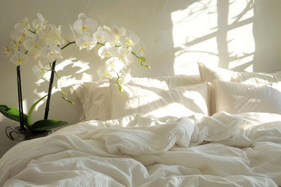 Close-up of white flowers on bed at home
