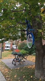 Bicycle parked against trees