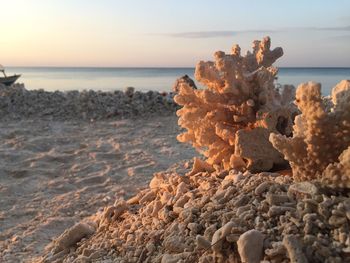 Rocks on beach against sky during sunset