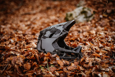 High angle view of dry leaves on field